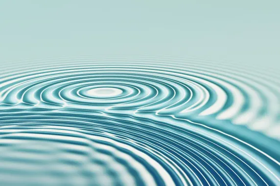 Kasino All In Sokongan